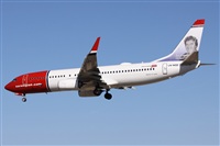 ©Alfonso Solís - Asociación Canary Islands Spotting. Click to see full size photo ©Alfonso Solís - Asociación Canary Islands Spotting. Click to see full size photo
