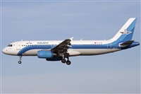 Miguel Alia - Noisy Spotters. Click to see full size photo