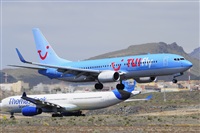 Miguel A. gueda Rguez.  (CANARY ISLANDS SPOTTING). Click to see full size photo