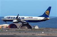 Bartolom Fernndez - Gran Canaria Spotters. Click to see full size photo
