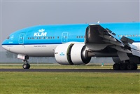 Miguel Alia - Noisy Spotters. Click to see full size photo