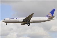 Miguel A. gueda Rguez.  (CANARY ISLANDS SPOTTING). Click to see full size photo