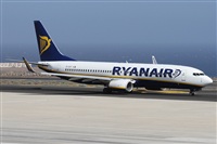 ©Alfonso Solís - Asociación Canary Islands Spotting. Click to see full size photo ©Alfonso Solís - Asociación Canary Islands Spotting. Click to see full size photo