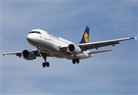 Miguel Alia - Noisy Spotters. Click to see full size photo