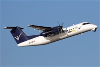 Adrin Alonso Lemes - Lanzarote Spotters. Click to see full size photo