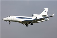 Miguel Alia - Noisy Spotters. Click to see full size photo