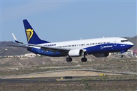 Saimon J Rodriguez   -   Canary Islands Spotting. Click to see full size photo