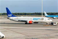 Javier de la Cruz - CANARY ISLANDS SPOTTING. Click to see full size photo