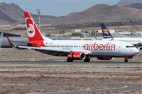 ©Alfonso Solís - Asociación Canary Islands Spotting. Click to see full size photo ©Alfonso Solís - Asociación Canary Islands Spotting. Click to see full size photo