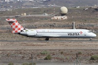 ©Alfonso Solís - Asociación Canary Islands Spotting. Click to see full size photo ©Alfonso Solís - Asociación Canary Islands Spotting. Click to see full size photo
