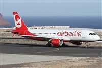 ©Alfonso Solís - Asociación Canary Islands Spotting. Click to see full size photo ©Alfonso Solís - Asociación Canary Islands Spotting. Click to see full size photo