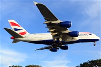 Ana L@dy Spotter. Click to see full size photo