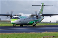 Bartolom Fernndez - Gran Canaria Spotters. Click to see full size photo