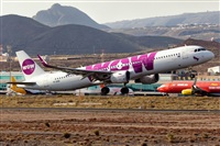 Javier de la Cruz - CANARY ISLANDS SPOTTING. Haz click para ampliar