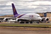 Javier de la Cruz - CANARY ISLANDS SPOTTING. Click to see full size photo