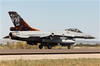 Florencio Martn Melin - Lanzarote Spotters. Click to see full size photo