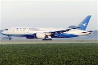 Rubn Gil - Noisy Spotters. Click to see full size photo