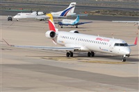 ©Adolfo Bento - Gran Canaria Spotters. Click to see full size photo ©Adolfo Bento - Gran Canaria Spotters. Click to see full size photo