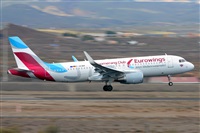 Miguel A. gueda Rguez.  (CANARY ISLANDS SPOTTING). Haz click para ampliar