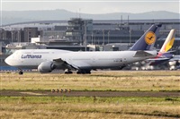 Adrin Alonso Lemes - Lanzarote Spotters. Click to see full size photo