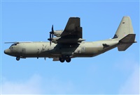 Alejandro H.L - Gran Canaria Spotters. Click to see full size photo