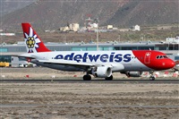©Alfonso Solís - Asociación Canary Islands Spotting. Click to see full size photo ©Alfonso Solís - Asociación Canary Islands Spotting. Click to see full size photo