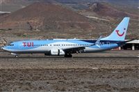 Alfonso Sols - Asociacin Canary Islands Spotting. Click to see full size photo