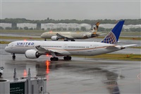 Miguel A. gueda Rguez.  (CANARY ISLANDS SPOTTING). Click to see full size photo