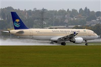 Miguel A. gueda Rguez.  (CANARY ISLANDS SPOTTING). Click to see full size photo