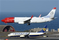 ©Alejandro H.L - Gran Canaria Spotters. Click to see full size photo ©Alejandro H.L - Gran Canaria Spotters. Click to see full size photo
