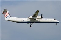 Miguel A. gueda Rguez.  (CANARY ISLANDS SPOTTING). Haz click para ampliar