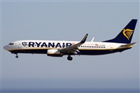 Alfonso Sols - Asociacin Canary Islands Spotting. Haz click para ampliar
