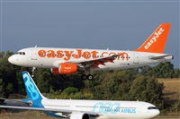 Miguel A. gueda Rguez.  (CANARY ISLANDS SPOTTING). Haz click para ampliar