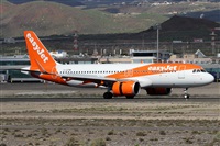 Alfonso Sols - Asociacin Canary Islands Spotting. Haz click para ampliar