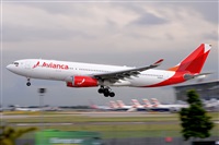 Miguel A. gueda Rguez.  (CANARY ISLANDS SPOTTING). Click to see full size photo