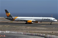 ©Alfonso Solís - Asociación Canary Islands Spotting. Click to see full size photo ©Alfonso Solís - Asociación Canary Islands Spotting. Click to see full size photo