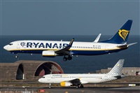 ©Román Valladares-Gran Canaria Spotters. Click to see full size photo ©Román Valladares-Gran Canaria Spotters. Click to see full size photo