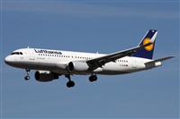 Alfonso Sols - Asociacin Canary Islands Spotting. Click to see full size photo