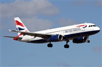 Alfonso Sols - Asociacin Canary Islands Spotting. Click to see full size photo