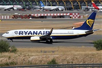 Alfonso Sols - Asociacin Canary Islands Spotting. Click to see full size photo
