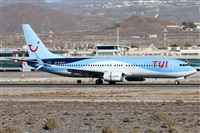 Alfonso Sols - Asociacin Canary Islands Spotting. Click to see full size photo