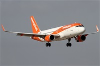 ©Alfonso Solís - Asociación Canary Islands Spotting. Click to see full size photo ©Alfonso Solís - Asociación Canary Islands Spotting. Click to see full size photo