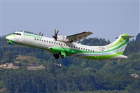 Miguel A. gueda Rguez.  (CANARY ISLANDS SPOTTING). Click to see full size photo