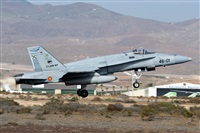 Luis Rguez - La Palma Spotting. Click to see full size photo