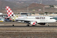 Alfonso Sols - Asociacin Canary Islands Spotting. Click to see full size photo