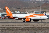 Alfonso Sols - Asociacin Canary Islands Spotting. Click to see full size photo