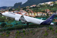 Miguel A. gueda Rguez.  (CANARY ISLANDS SPOTTING). Haz click para ampliar