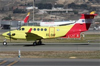 ©Alfonso Solís - Asociación Canary Islands Spotting. Click to see full size photo ©Alfonso Solís - Asociación Canary Islands Spotting. Click to see full size photo