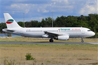 Miguel A. gueda Rguez.  (CANARY ISLANDS SPOTTING). Click to see full size photo