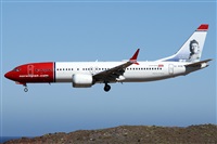 ©Alfonso Solís - Asociación Canary Islands Spotting. Click to see full size photo ©Alfonso Solís - Asociación Canary Islands Spotting. Click to see full size photo